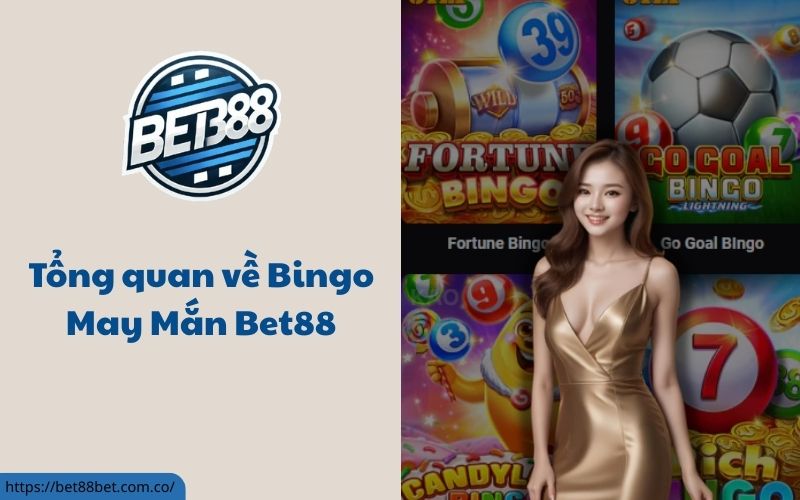 Bingo May Mắn Bet88